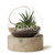 [Sample] Orbit Terrarium - Large