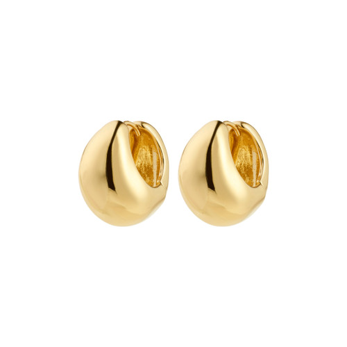 Free Hoops- Gold Plated