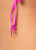Sunning Bottom- Poppy Pink