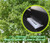 Treefrog Fresh Box Black Squash Scent 15 Packs Treefrog Fresh Box Black Squash Scent 15 Packs