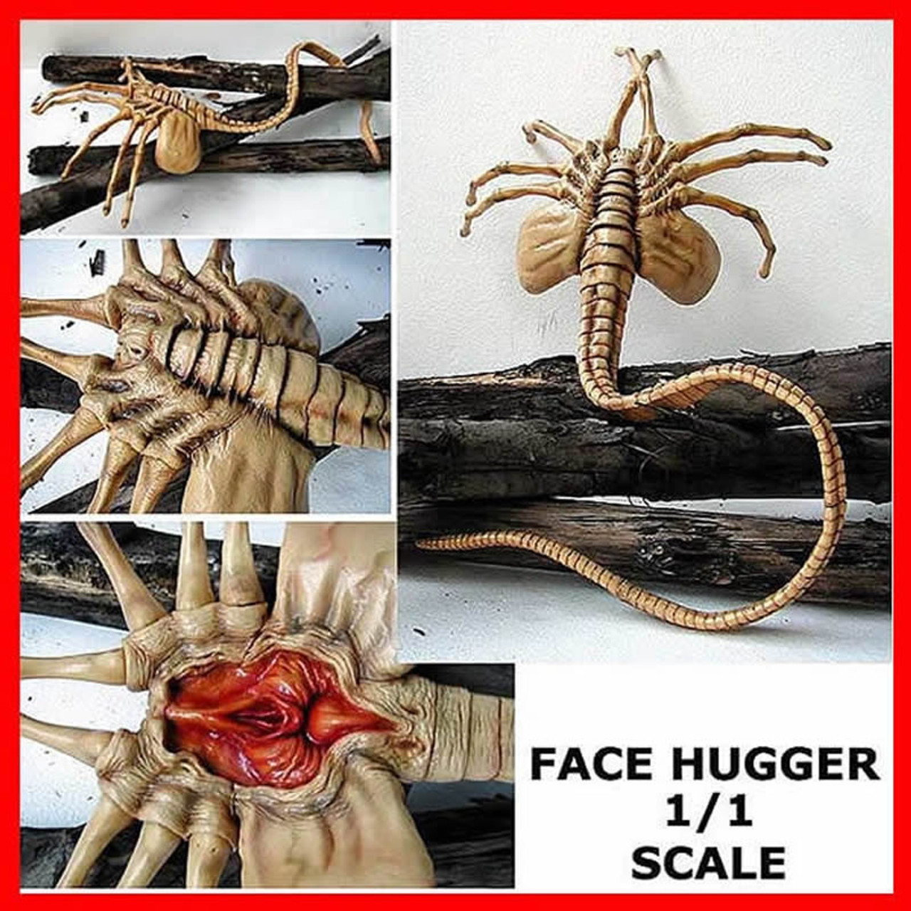 Alien Queen Facehugger Life Size 1/1 vinyl model kit figures