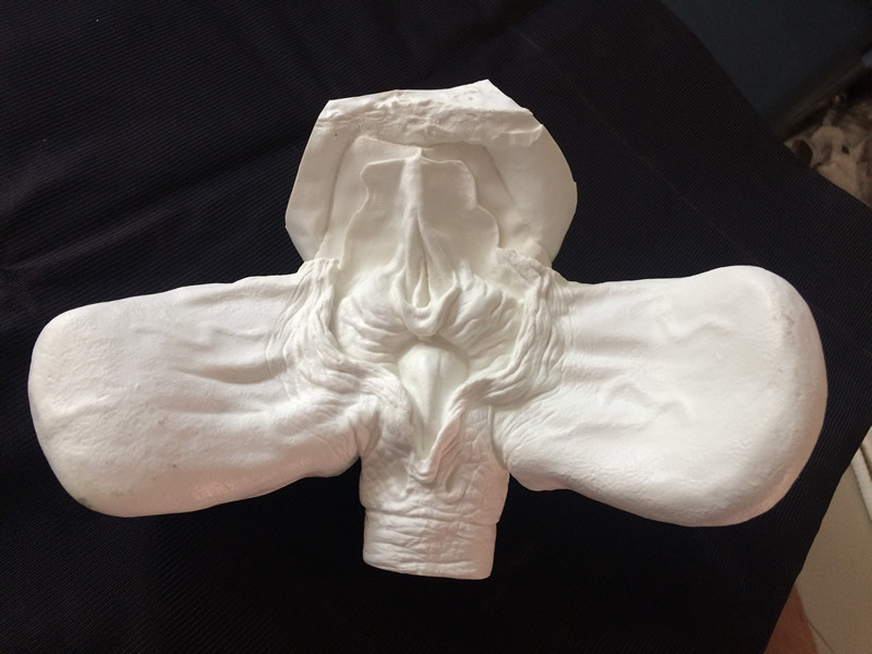 Alien Queen Facehugger Life Size 1/1 vinyl model kit figures