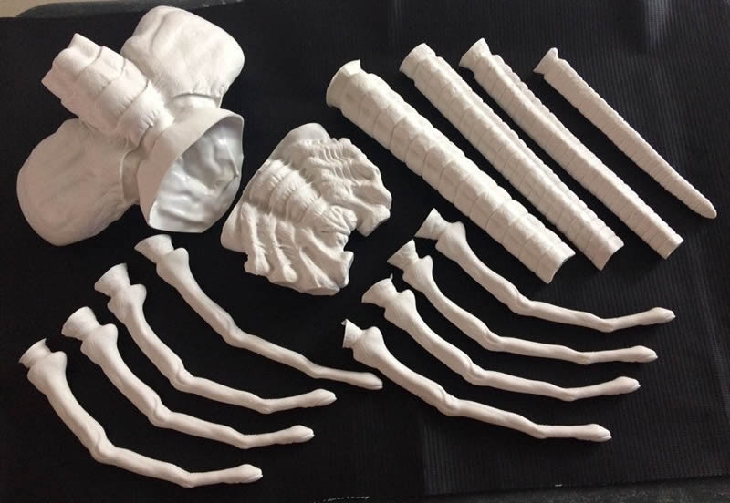 Alien Facehugger Life Size 1/1 vinyl model kit figures