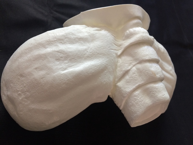 Alien Queen Facehugger Life Size 1/1 vinyl model kit figures