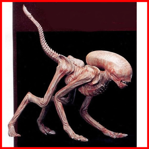 Alien Dogburster Life Size 1/1 vinyl model kit figures - maco3d