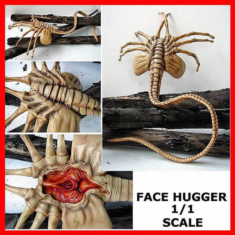 Alien Facehugger Life Size 1/1 vinyl model kit figures