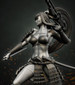 Female Samurai with NSFW - STL File for 3D Print - maco3d