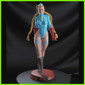 Cammy White Street Fighter - STL File for 3D Print - [maco3d]