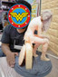 Wonder Woman WW84 Statue - STL File for 3D Print - [maco3d]