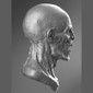 Zombie Head - STL File for 3D Print - maco3d