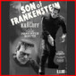 Son of Frankenstein Boris Karloff 1/8 vinyl model kit figures - maco3d