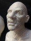 Frankenstein Mary Shelly Robert DeNiro 1/4 vinyl model kit figures - maco3d