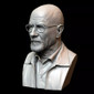 Walter White Bust Breaking Bad - STL File for 3D Print - maco3d