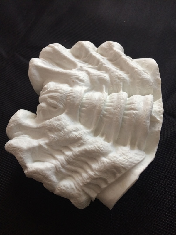 Alien Queen Facehugger Life Size 1/1 vinyl model kit figures