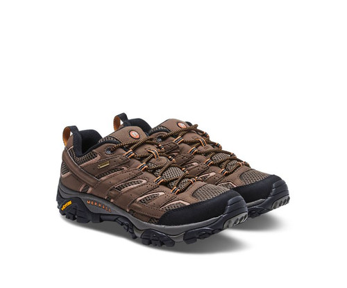 Merrell mens moab 2 gtx shoe Terre 6041