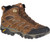 Merrell Moab 2 Mid Wp Boot 6051 Merrell Moab 2 Mid Wp Boot 6051