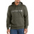 Carhartt Force Delmont Signature Hooded Sweatshirt 103873