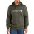 Carhartt Force Delmont Signature Hooded Sweatshirt 103873