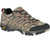 Merrell Moab 2 Wp Shoe Bark Brown 8871