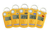 Five Reasons Why You Need a Crowcon Gasman in Your Life