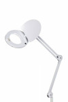 Dainolite Magnifier 3.5D Equipro