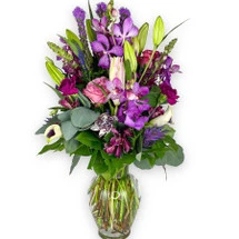 PURPLE LOVE