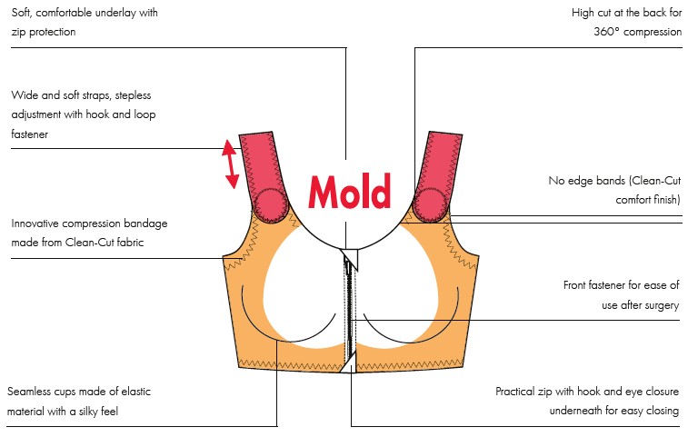 Bra diagram details - ANPTmag