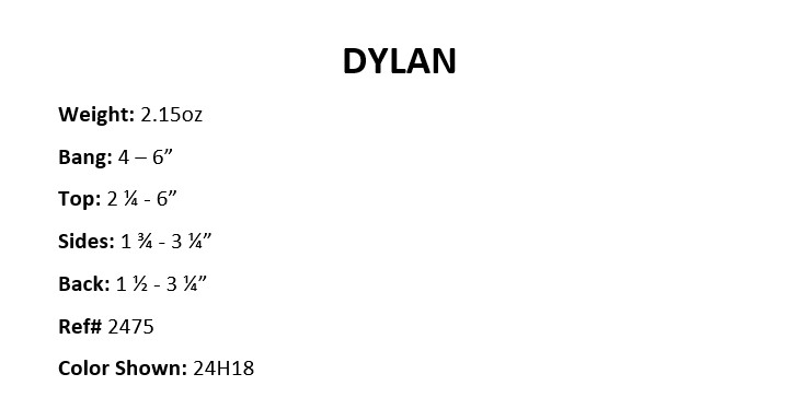 dylan-description.jpg