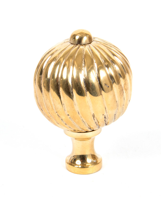 Polished Brass Spiral Cabinet Knob - Large