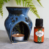 Thyme Essential Oil