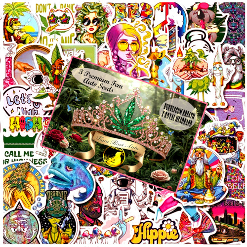 Tiara Rosa Sticker-Bean Pack - Auto/Fem/3pk New 2026 Art