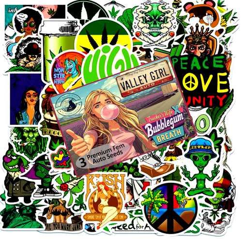 Valley Girl Sticker-Bean Pack - Fem/Auto/3pk New 2026 Art