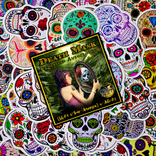 Death Mask Sticker-Bean Pack - Fem/Auto/3pk Classic Art