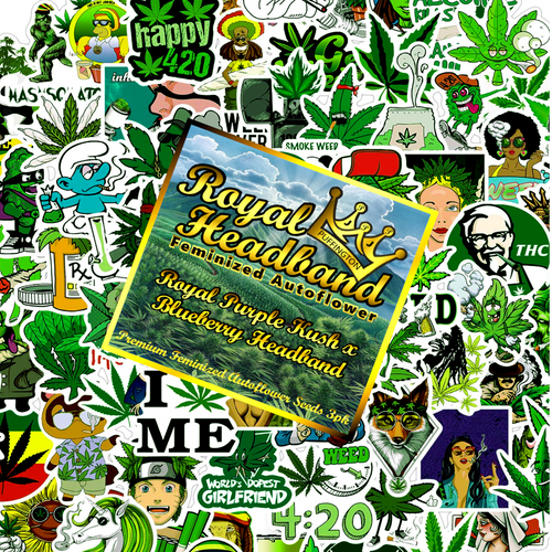Royal Headband Sticker-Bean Pack - Fem/Auto/3pk Original Art