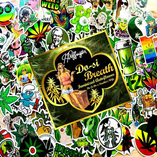 Do-Si-Breath Sticker-Bean Pack - Fem/Auto/3pk Original Art