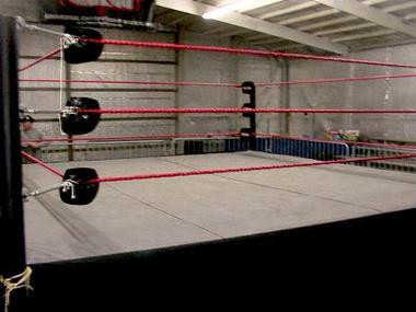 wwf wrestling ring