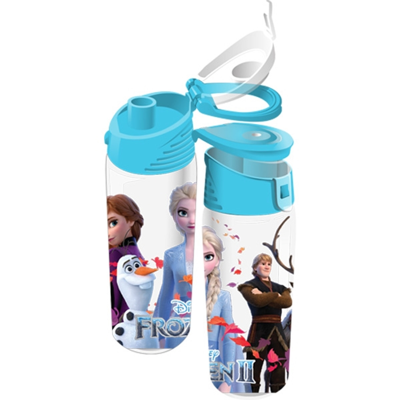 Disney Frozen 2 Water Bottle Elsa and Anna with Flip Top, 8 3/4 Inch