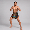 Train and compete in confidence with genuine Fairtex Muay Thai Shorts, designed for superior comfort, durability and freedom of movement for Muay Thai, kickboxing, MMA and combat sports athletes.