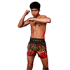 Volcano Thai Boxing Shorts