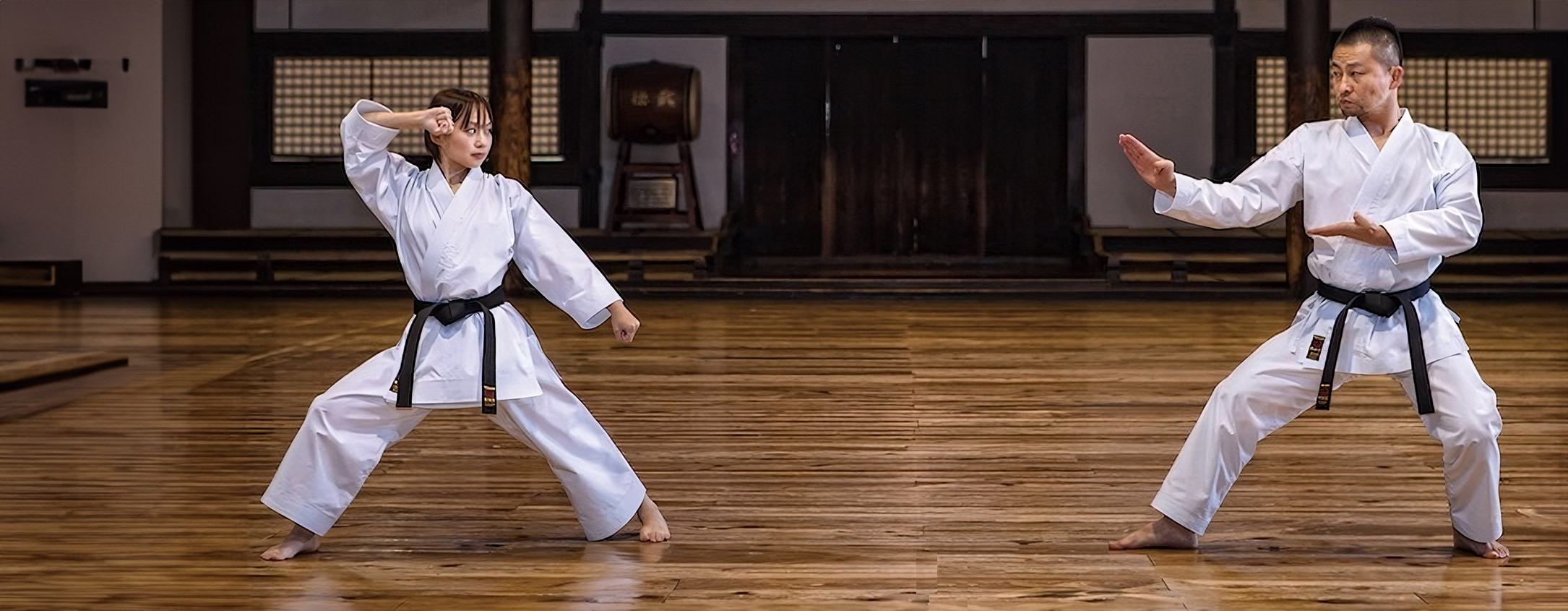 Auckland Martial Arts Supplies online for Top Brands and Martial Arts Gear