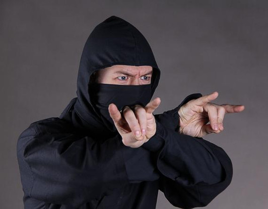 NINJA HOOD