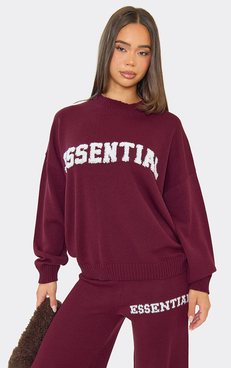 Long Sleeve Fluffy Essential Logo Detail Oversized Jumper In