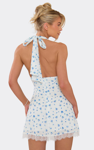 Halterneck Lace Trim Mini Dress In Blue Ditsy Floral Print | EGO