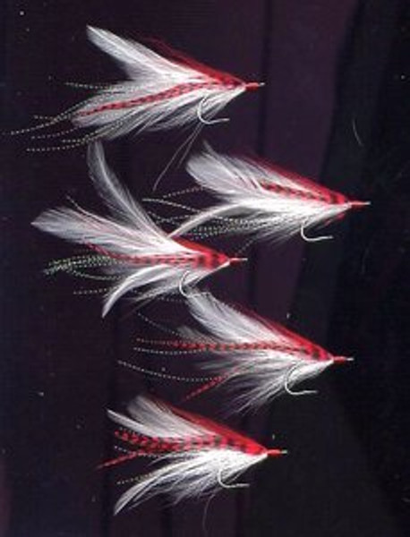 Deceiver Fly - White /Red