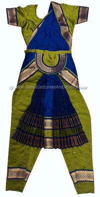 Bharatanatyam Dance Costume Readymade Lime Green and Blue