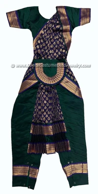Bharatanatyam costume