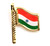 Indian flag pin Indian flag pin