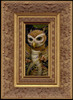 Dragon Owl framed