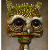 Fungus Owl 02 detail