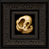 Skully 045 framed